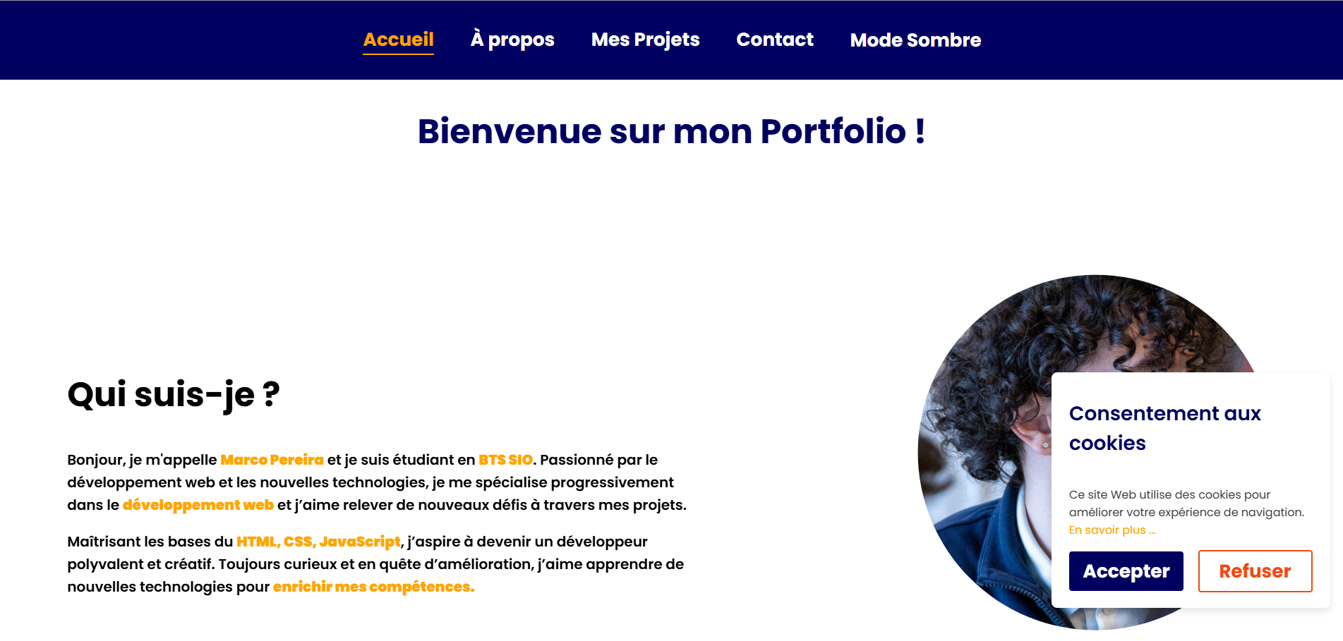 Portfolio v1